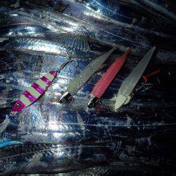 ZZ-STAP&ワインド&FLAP釣法でタチウオゲット!